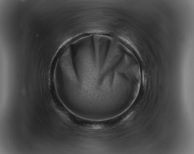 X0000086290204200704131555
