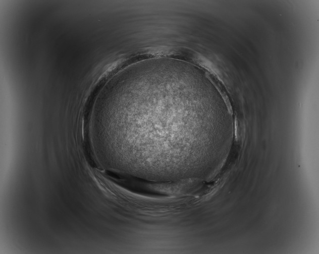 X0000086290205200704131555