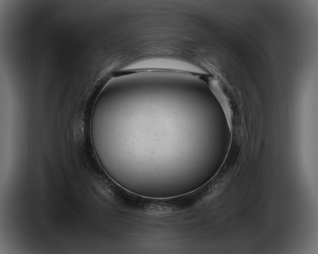 X0000086290207200704131555