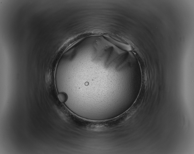 X0000086290208200704131555