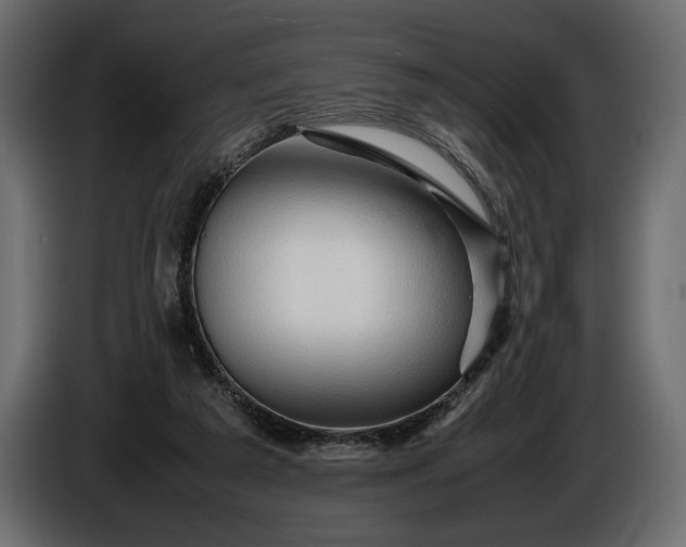 X0000086290209200704131555