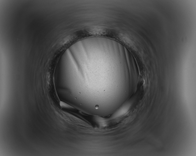 X0000086290211200704131555