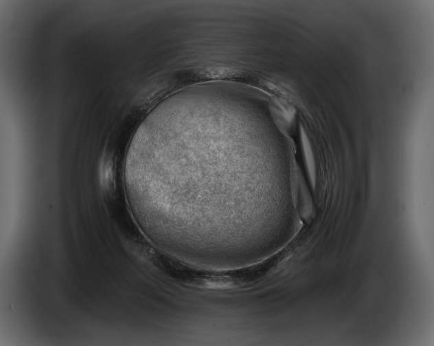 X0000086290214200704131555