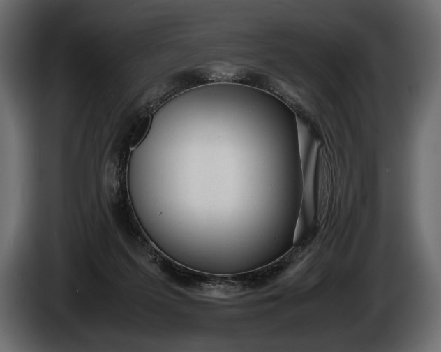 X0000086290215200704131555