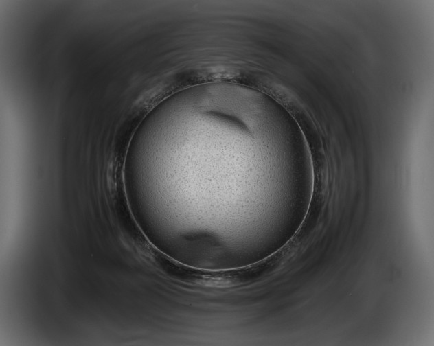 X0000086290218200704131555