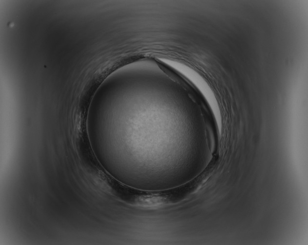 X0000086290219200704131555
