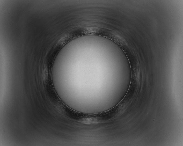 X0000086290220200704131555