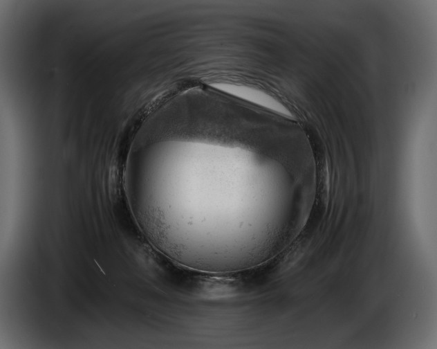 X0000086290222200704131555