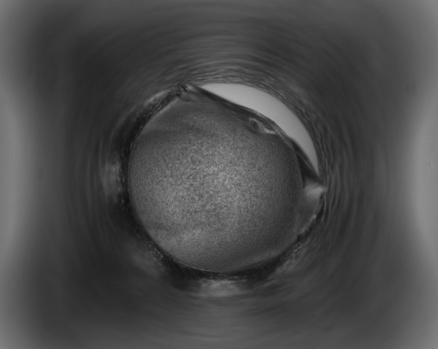 X0000086290224200704131555