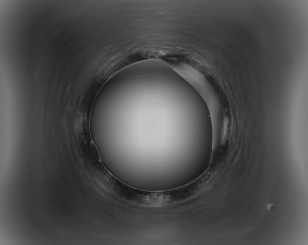 X0000086290225200704131555