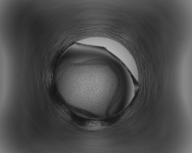 X0000086290227200704131555