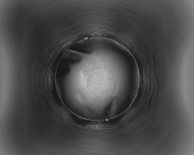 X0000086290228200704131555