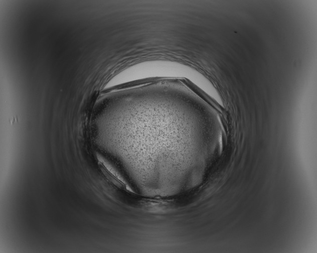 X0000086290229200704131555