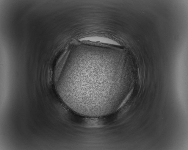 X0000086290230200704131555