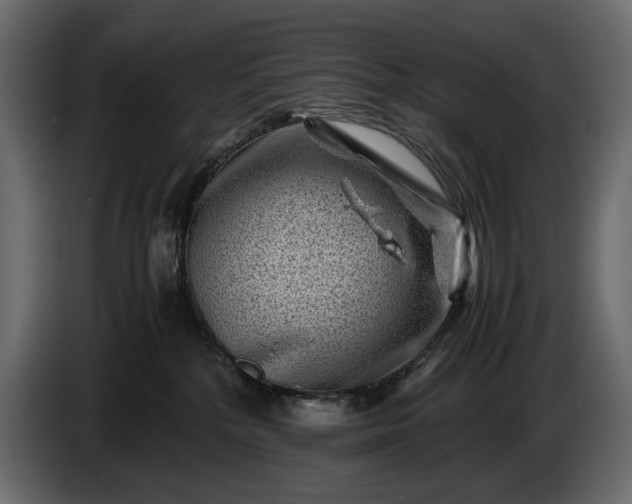 X0000086290232200704131555