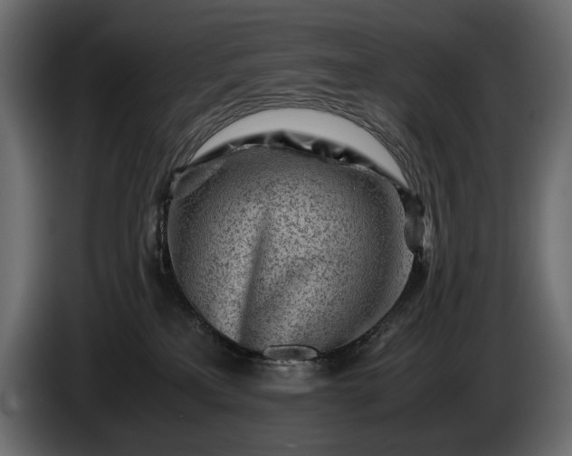 X0000086290233200704131554