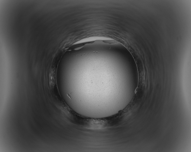 X0000086290234200704131554