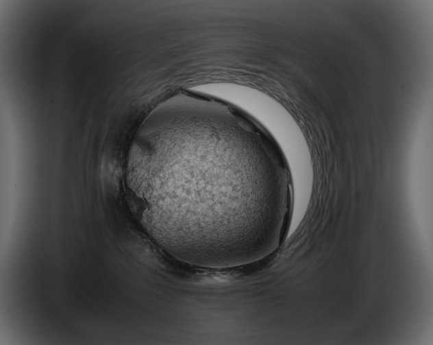 X0000086290235200704131554