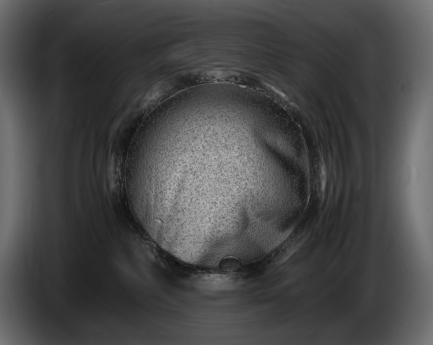 X0000086290236200704131554