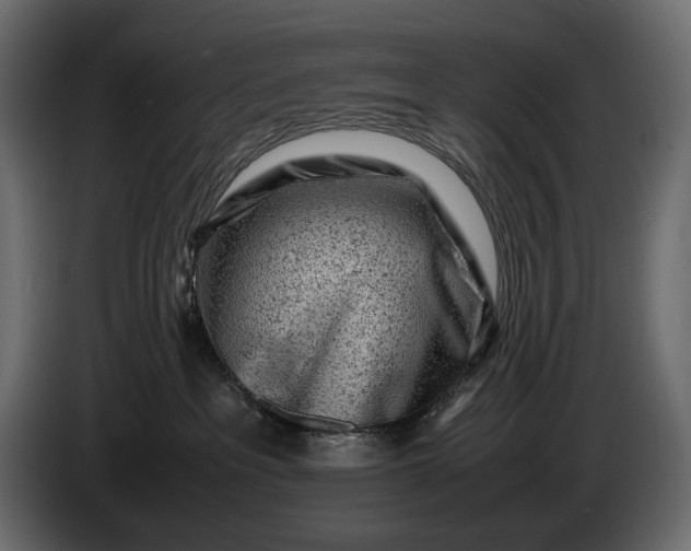 X0000086290237200704131554