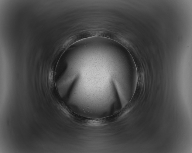 X0000086290238200704131554
