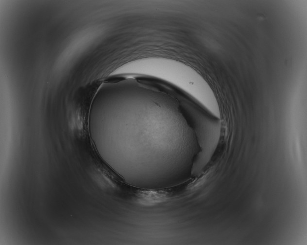 X0000086290239200704131554