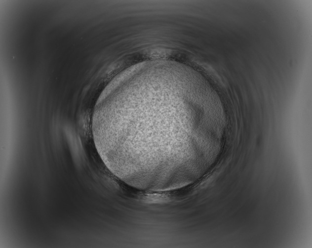 X0000086290240200704131554