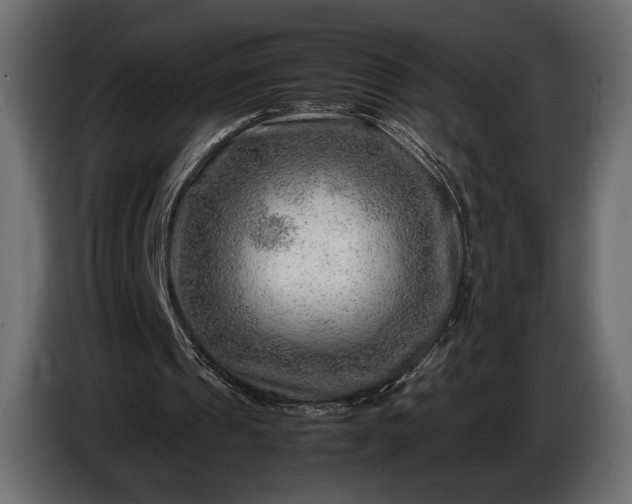X0000086290241200704131554