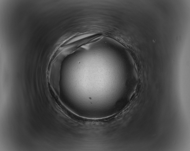 X0000086290242200704131554