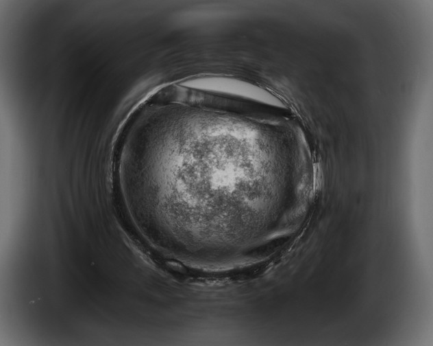 X0000086290243200704131554