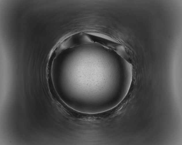 X0000086290244200704131554