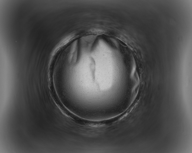 X0000086290245200704131554