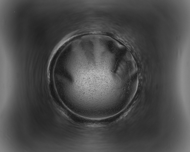 X0000086290246200704131554