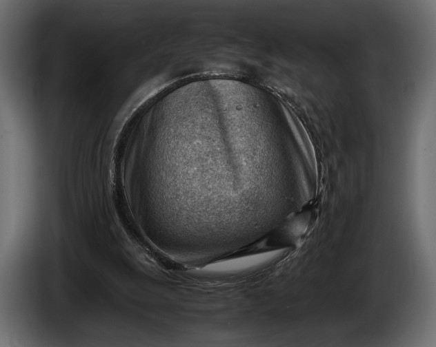 X0000086290247200704131554