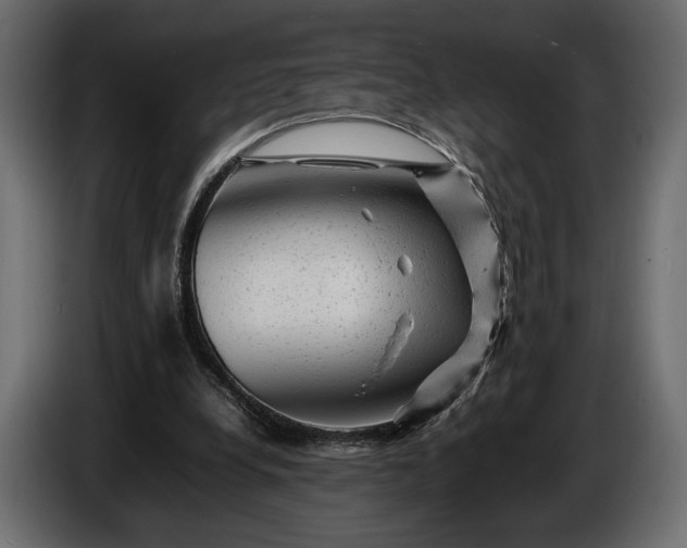 X0000086290248200704131554