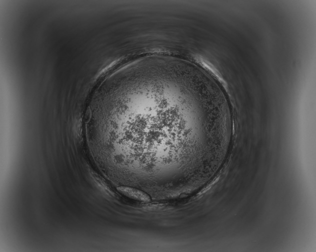X0000086290249200704131554