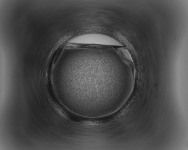 X0000086290250200704131554
