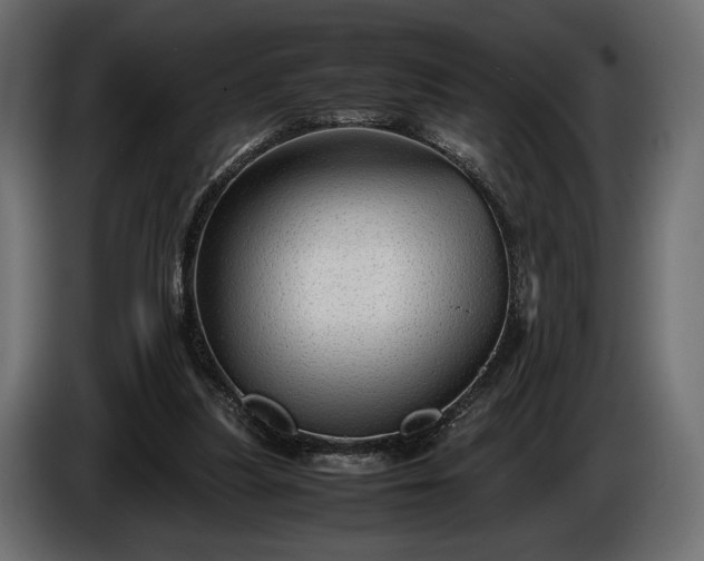X0000086290251200704131554