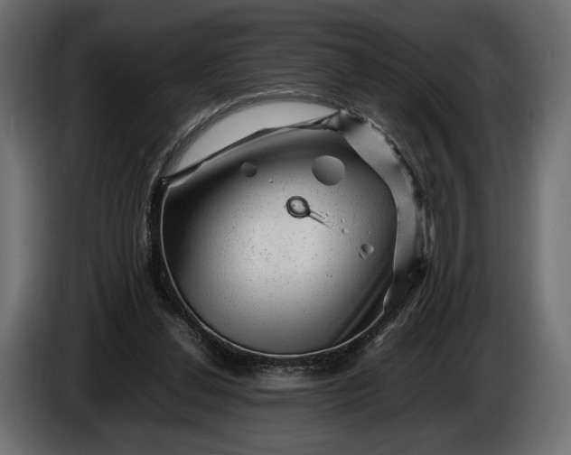 X0000086290252200704131554
