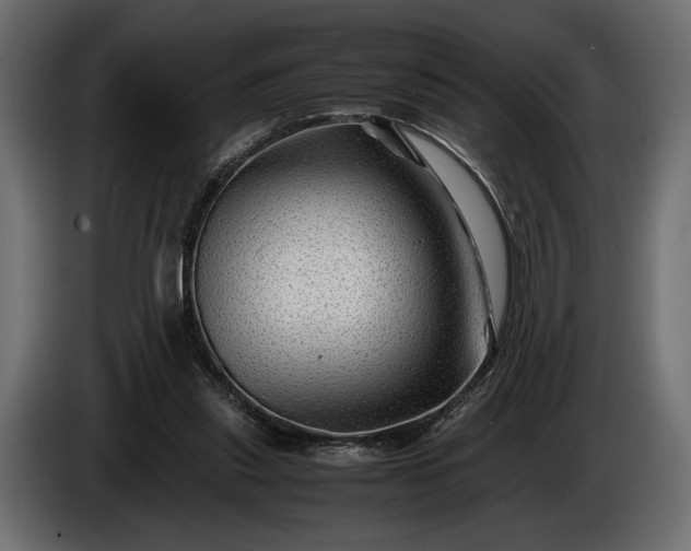 X0000086290253200704131554