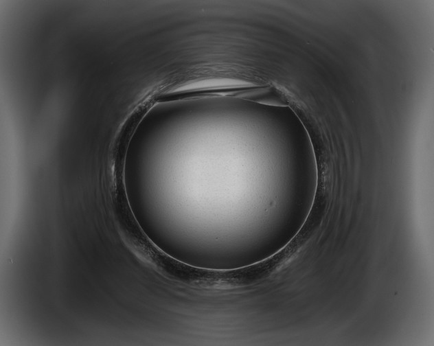 X0000086290254200704131554