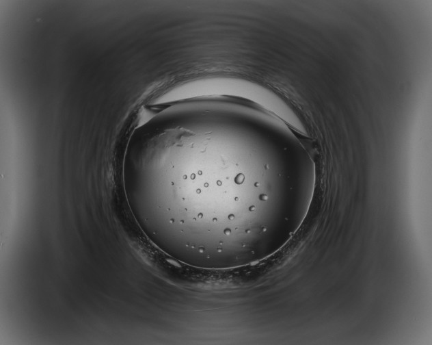 X0000086290256200704131554
