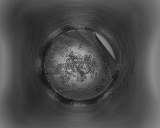 X0000086290258200704131554