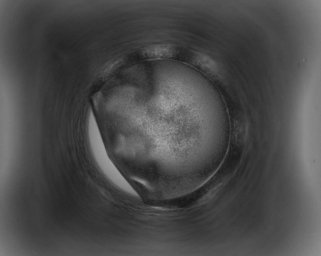 X0000086290259200704131554