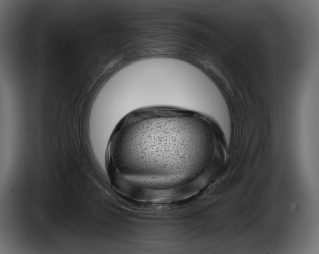 X0000086290260200704131554