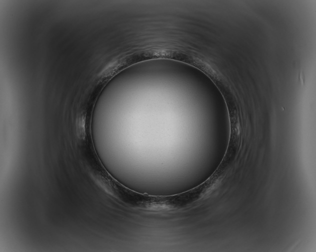 X0000086290262200704131554
