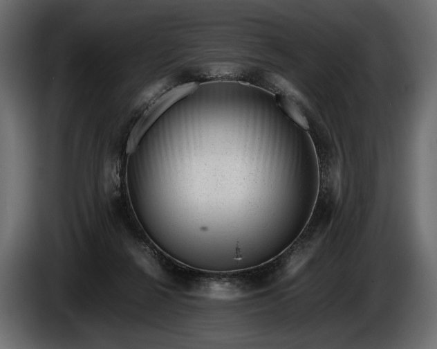 X0000086290264200704131554