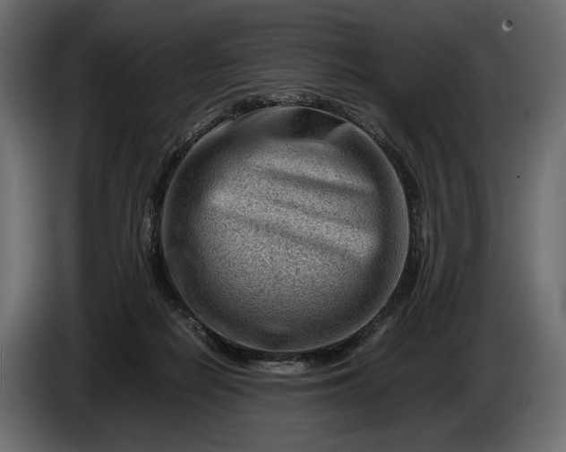 X0000086290266200704131554