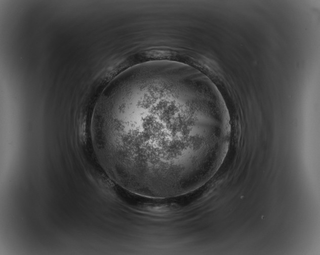 X0000086290267200704131554
