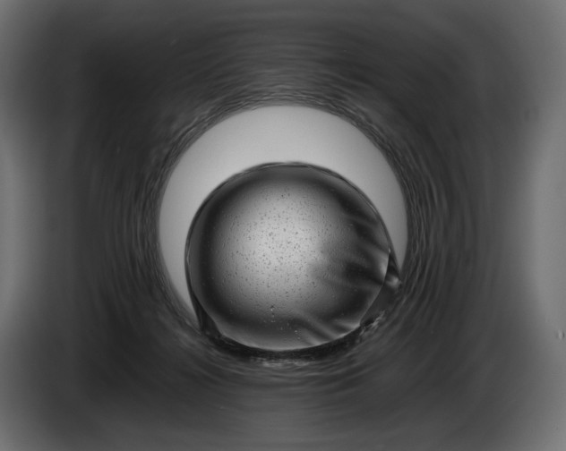 X0000086290268200704131554